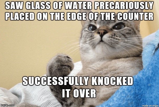 image tagged in cats | made w/ Imgflip meme maker