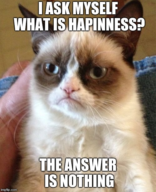 Grumpy Cat | I ASK MYSELF WHAT IS HAPINNESS? THE ANSWER IS NOTHING | image tagged in memes,grumpy cat | made w/ Imgflip meme maker