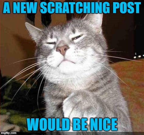 A NEW SCRATCHING POST WOULD BE NICE | made w/ Imgflip meme maker