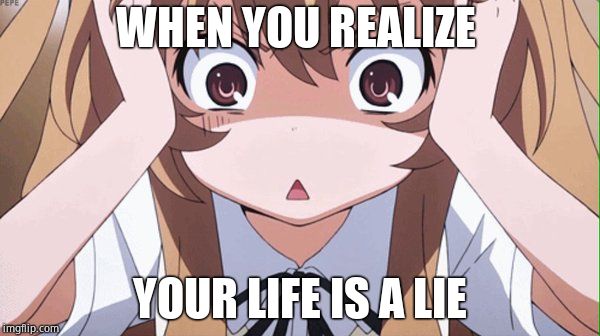 anime realization | WHEN YOU REALIZE; YOUR LIFE IS A LIE | image tagged in anime realization | made w/ Imgflip meme maker