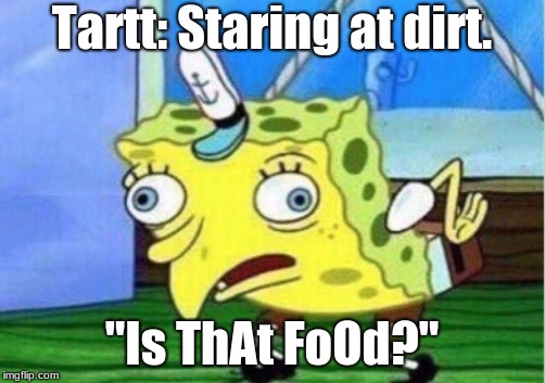 Mocking Spongebob | Tartt: Staring at dirt. "Is ThAt FoOd?" | image tagged in memes,mocking spongebob | made w/ Imgflip meme maker