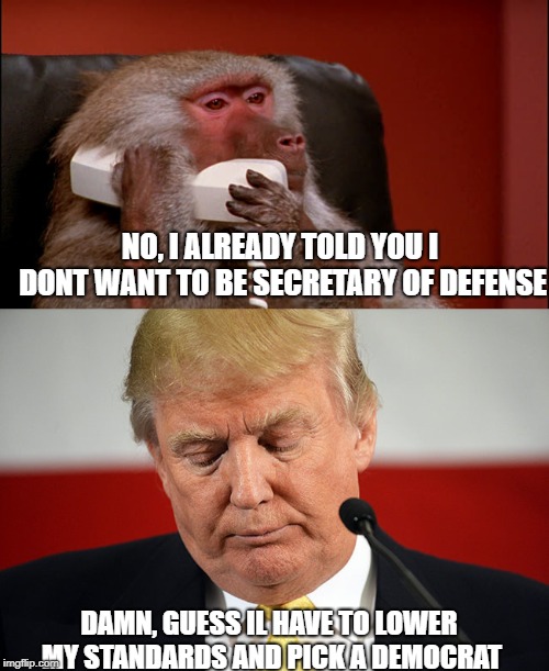 The next secretary of defense | NO, I ALREADY TOLD YOU I DONT WANT TO BE SECRETARY OF DEFENSE; DAMN, GUESS IL HAVE TO LOWER MY STANDARDS AND PICK A DEMOCRAT | image tagged in sad trump,baboon phone | made w/ Imgflip meme maker
