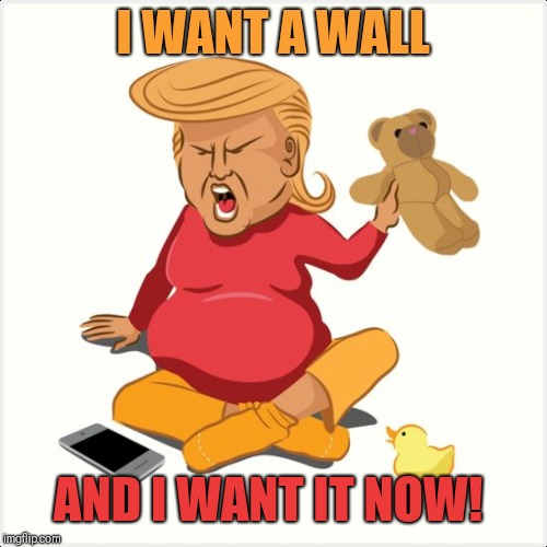 Cry baby trump | I WANT A WALL; AND I WANT IT NOW! | image tagged in cry baby trump | made w/ Imgflip meme maker