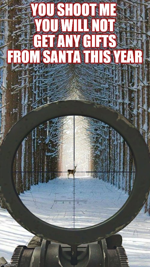hunter see a deer to shoot | YOU SHOOT ME YOU WILL NOT GET ANY GIFTS FROM SANTA THIS YEAR | image tagged in hunters,deer hunter,meme,memes,santa,christmas gifts | made w/ Imgflip meme maker