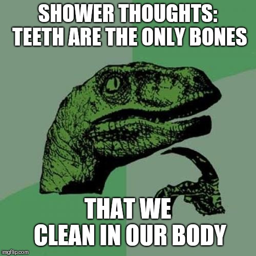 Philosoraptor Meme | SHOWER THOUGHTS: TEETH ARE THE ONLY BONES; THAT WE CLEAN IN OUR BODY | image tagged in memes,philosoraptor | made w/ Imgflip meme maker