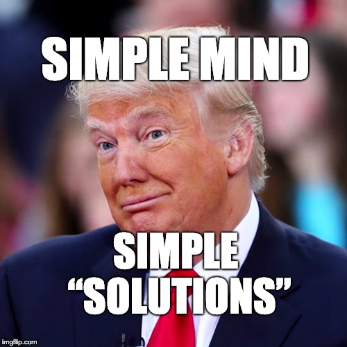 Simple mind, simple solutions. | SIMPLE MIND; SIMPLE “SOLUTIONS” | image tagged in trump | made w/ Imgflip meme maker