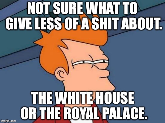 White House and Royal Palace are both dumb as hell | NOT SURE WHAT TO GIVE LESS OF A SHIT ABOUT. THE WHITE HOUSE OR THE ROYAL PALACE. | image tagged in memes,futurama fry,white house,royal palace,drama queen,reality tv | made w/ Imgflip meme maker