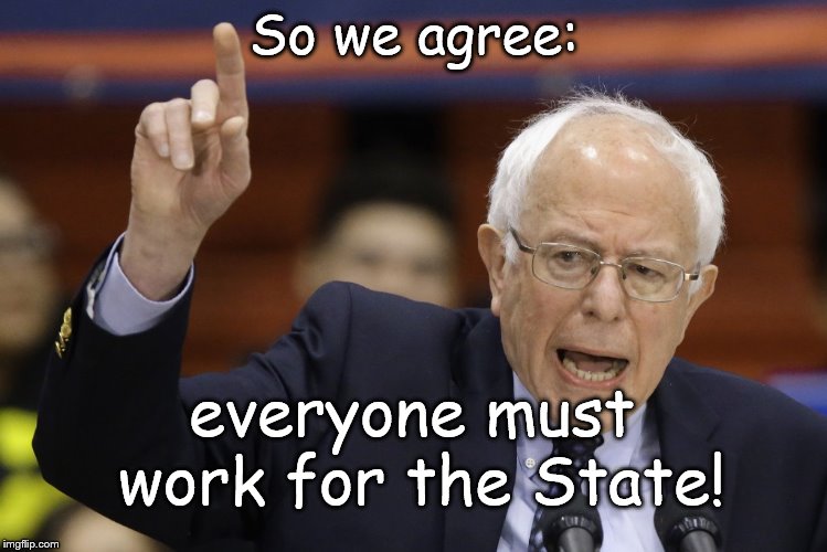 Bern, feel the burn? | So we agree: everyone must work for the State! | image tagged in bern feel the burn | made w/ Imgflip meme maker