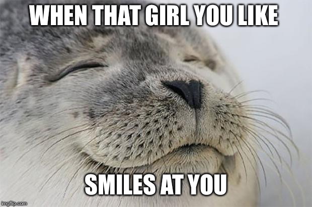 Satisfied Seal Meme | WHEN THAT GIRL YOU LIKE; SMILES AT YOU | image tagged in memes,satisfied seal | made w/ Imgflip meme maker