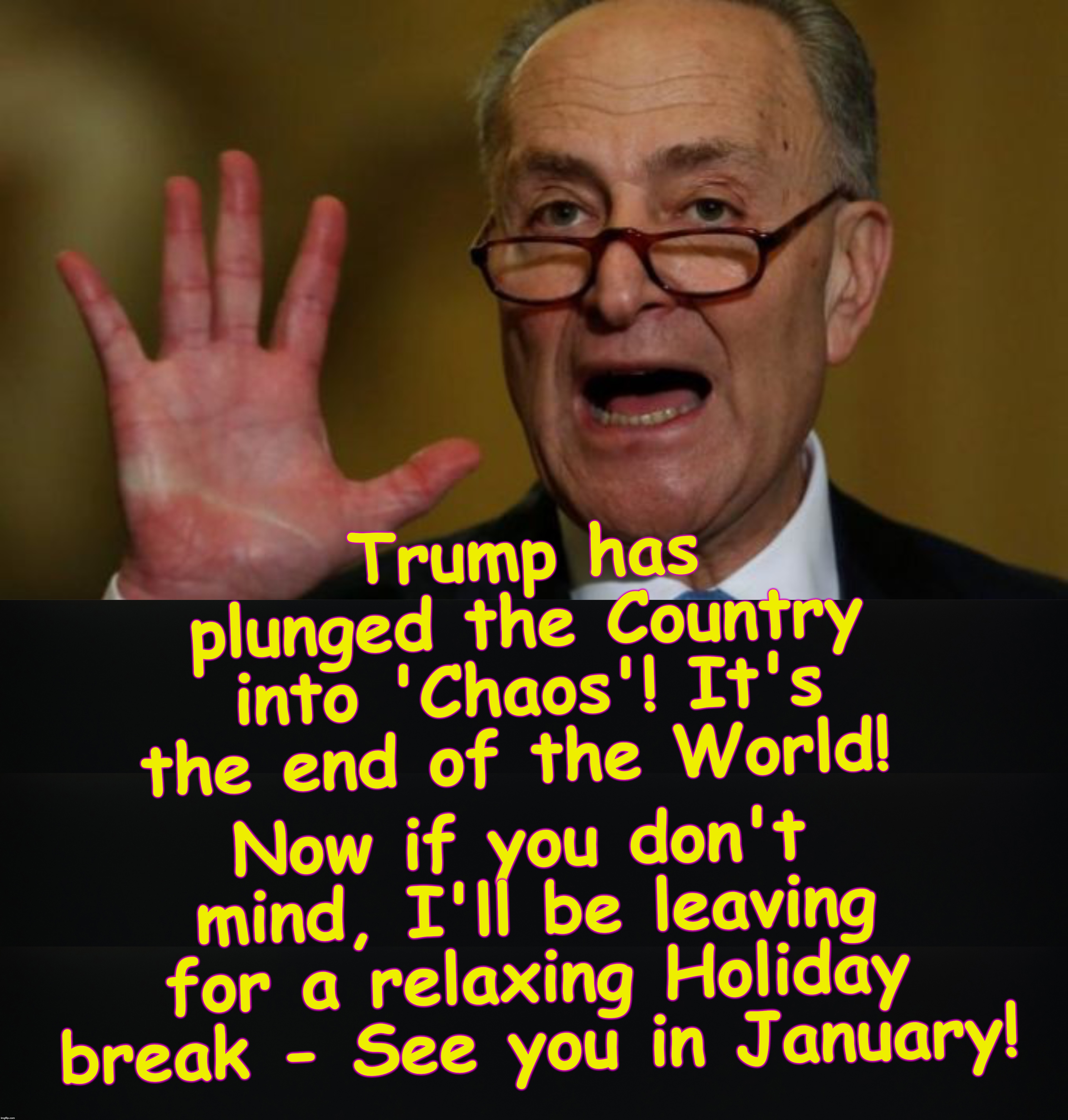 Trump has plunged the Country into 'Chaos'! It's the end of the World! Now if you don't mind, I'll be leaving for a relaxing Holiday break - See you in January! | image tagged in chuck schumer | made w/ Imgflip meme maker
