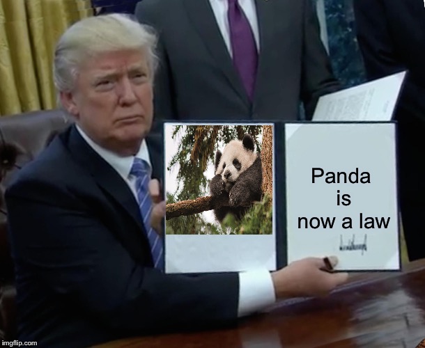 Trump Bill Signing Meme | Panda is now a law | image tagged in memes,trump bill signing,scumbag | made w/ Imgflip meme maker