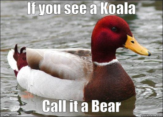 Has anybody tryed this? | If you see a Koala; Call it a Bear | image tagged in make actual bad advice mallard | made w/ Imgflip meme maker