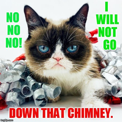 I WILL NOT   GO DOWN THAT CHIMNEY. NO NO NO! | made w/ Imgflip meme maker