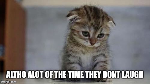 Sad kitten | ALTHO ALOT OF THE TIME THEY DONT LAUGH | image tagged in sad kitten | made w/ Imgflip meme maker