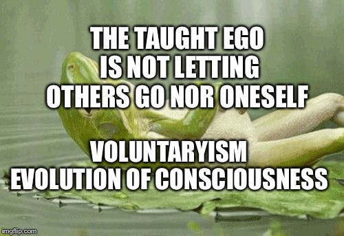 Zen Frog | THE TAUGHT EGO IS NOT LETTING OTHERS GO NOR ONESELF; VOLUNTARYISM EVOLUTION OF CONSCIOUSNESS | image tagged in zen frog | made w/ Imgflip meme maker