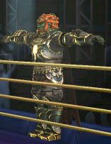 Ganondorf T-Pose Blank Meme Template