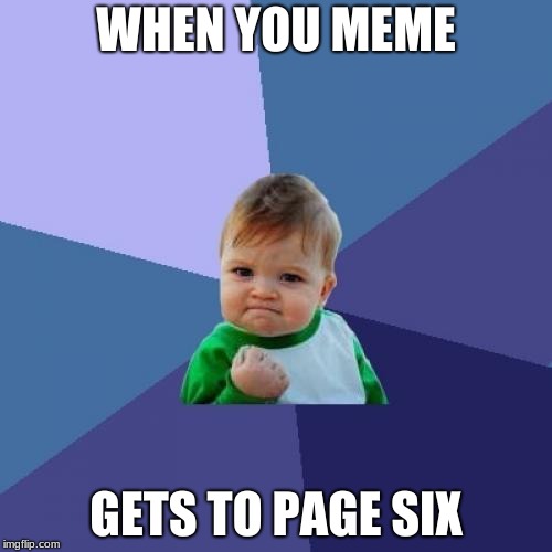 Thanks everyone | WHEN YOU MEME; GETS TO PAGE SIX | image tagged in memes,success kid | made w/ Imgflip meme maker
