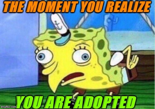 Mocking Spongebob Meme | THE MOMENT YOU REALIZE; YOU ARE ADOPTED | image tagged in memes,mocking spongebob | made w/ Imgflip meme maker