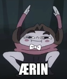 ÆRIN | image tagged in i don't care | made w/ Imgflip meme maker