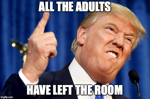 Donald Trump | ALL THE ADULTS; HAVE LEFT THE ROOM | image tagged in donald trump | made w/ Imgflip meme maker