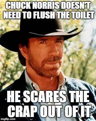 Chuck Norris | CHUCK NORRIS DOESN'T NEED TO FLUSH THE TOILET; HE SCARES THE CRAP OUT OF IT | image tagged in memes,chuck norris | made w/ Imgflip meme maker