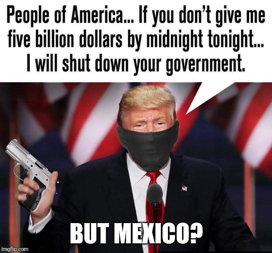 Memes | BUT MEXICO? | image tagged in government shutdown | made w/ Imgflip meme maker