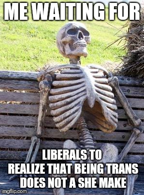 Waiting Skeleton Meme | ME WAITING FOR LIBERALS TO REALIZE THAT BEING TRANS DOES NOT A SHE MAKE | image tagged in memes,waiting skeleton | made w/ Imgflip meme maker