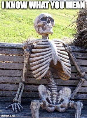 Waiting Skeleton Meme | I KNOW WHAT YOU MEAN | image tagged in memes,waiting skeleton | made w/ Imgflip meme maker