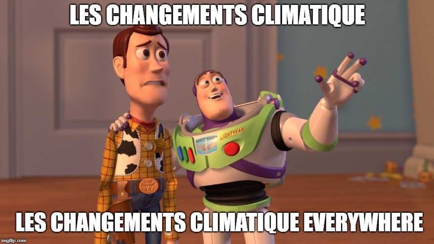 Woody and Buzz Lightyear Everywhere Widescreen | LES CHANGEMENTS CLIMATIQUE; LES CHANGEMENTS CLIMATIQUE EVERYWHERE | image tagged in woody and buzz lightyear everywhere widescreen | made w/ Imgflip meme maker