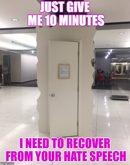 JUST GIVE ME 10 MINUTES I NEED TO RECOVER FROM YOUR HATE SPEECH | made w/ Imgflip meme maker