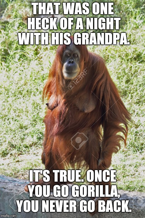 THAT WAS ONE HECK OF A NIGHT WITH HIS GRANDPA. IT'S TRUE. ONCE YOU GO GORILLA, YOU NEVER GO BACK. | made w/ Imgflip meme maker