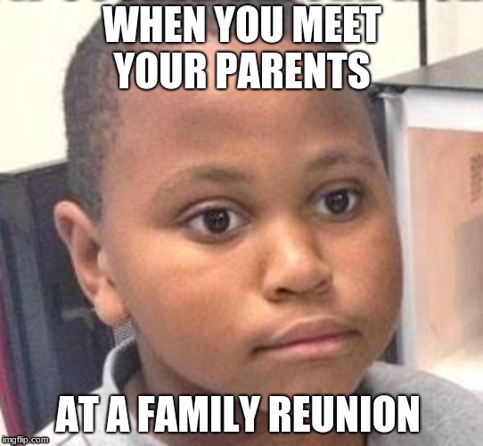 WHEN YOU MEET YOUR PARENTS; AT A FAMILY REUNION | image tagged in lol | made w/ Imgflip meme maker