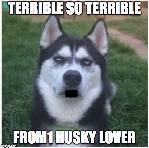 Bullshit Husky (Talk) | TERRIBLE SO TERRIBLE; FROM1 HUSKY LOVER | image tagged in bullshit husky talk | made w/ Imgflip meme maker