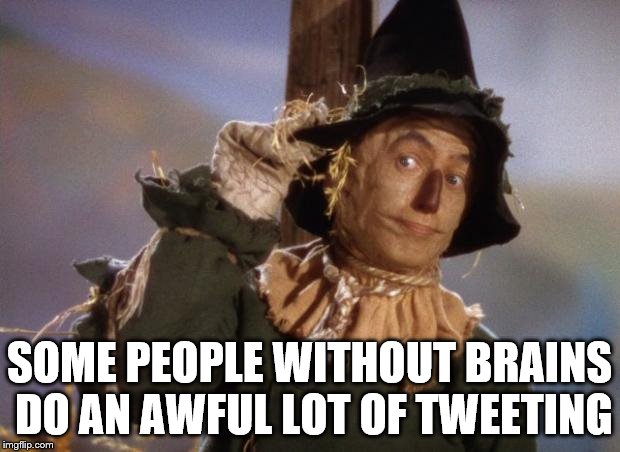 Scarecrow | SOME PEOPLE WITHOUT BRAINS DO AN AWFUL LOT OF TWEETING | image tagged in scarecrow | made w/ Imgflip meme maker