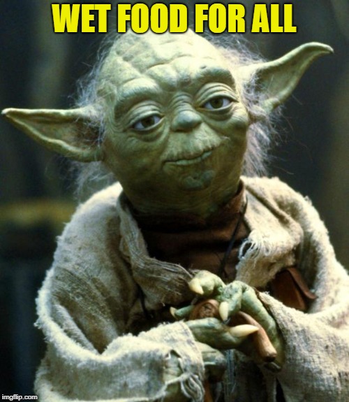 Star Wars Yoda Meme | WET FOOD FOR ALL | image tagged in memes,star wars yoda | made w/ Imgflip meme maker