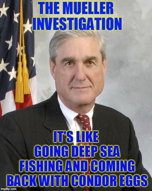 Robert Mueller | THE MUELLER INVESTIGATION IT'S LIKE GOING DEEP SEA FISHING AND COMING BACK WITH CONDOR EGGS | image tagged in robert mueller | made w/ Imgflip meme maker