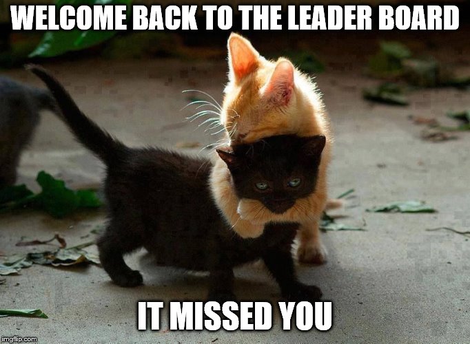 kitten hug | WELCOME BACK TO THE LEADER BOARD IT MISSED YOU | image tagged in kitten hug | made w/ Imgflip meme maker