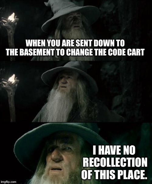 Confused Gandalf Meme | WHEN YOU ARE SENT DOWN TO THE BASEMENT TO CHANGE THE CODE CART; I HAVE NO RECOLLECTION OF THIS PLACE. | image tagged in memes,confused gandalf | made w/ Imgflip meme maker