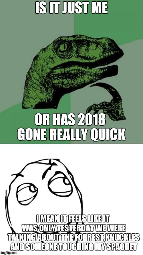 IS IT JUST ME; OR HAS 2018 GONE REALLY QUICK; I MEAN IT FEELS LIKE IT WAS ONLY YESTERDAY WE WERE TALKING ABOUT THE FORREST,KNUCKLES AND SOMEONE TOUCHING MY SPAGHET | image tagged in memes,philosoraptor,hmmm | made w/ Imgflip meme maker