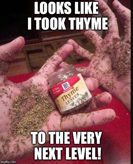 Thyme | LOOKS LIKE I TOOK THYME TO THE VERY NEXT LEVEL! | image tagged in thyme | made w/ Imgflip meme maker