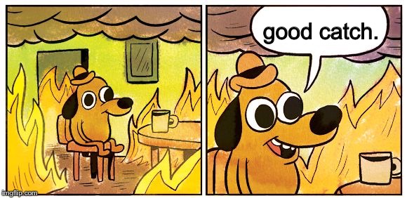 This Is Fine Meme | good catch. | image tagged in this is fine dog | made w/ Imgflip meme maker