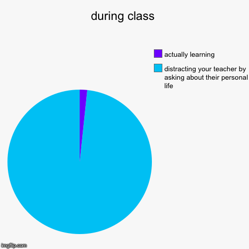 during class | distracting your teacher by asking about their personal life , actually learning | image tagged in funny,pie charts | made w/ Imgflip chart maker