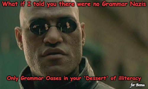 A world without literacy will soon become a 'Dessert' | What if I told you there were no Grammar Nazis; Only Grammar Oases in your 'Dessert' of illiteracy; for Boma | image tagged in memes,matrix morpheus | made w/ Imgflip meme maker