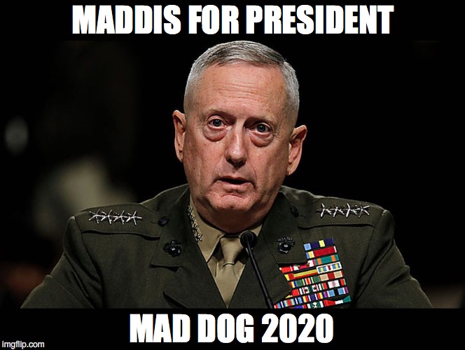 It Could Happen... | MADDIS FOR PRESIDENT; MAD DOG 2020 | image tagged in politics | made w/ Imgflip meme maker