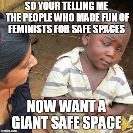 Third World Skeptical Kid | SO YOUR TELLING ME THE PEOPLE WHO MADE FUN OF FEMINISTS FOR SAFE SPACES; NOW WANT A GIANT SAFE SPACE | image tagged in memes,third world skeptical kid | made w/ Imgflip meme maker