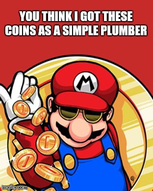 Mario coin | YOU THINK I GOT THESE COINS AS A SIMPLE PLUMBER | image tagged in mario coin | made w/ Imgflip meme maker