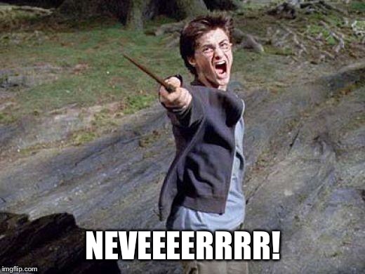 Harry Potter Yelling | NEVEEEERRRR! | image tagged in harry potter yelling | made w/ Imgflip meme maker