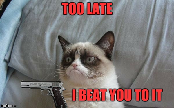 Grumpy cat gun | TOO LATE I BEAT YOU TO IT | image tagged in grumpy cat gun | made w/ Imgflip meme maker
