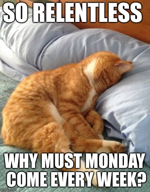 SO RELENTLESS; WHY MUST MONDAY COME EVERY WEEK? | made w/ Imgflip meme maker