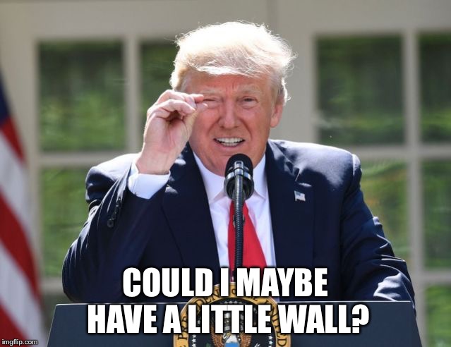 COULD I MAYBE HAVE A LITTLE WALL? | image tagged in trump wall | made w/ Imgflip meme maker